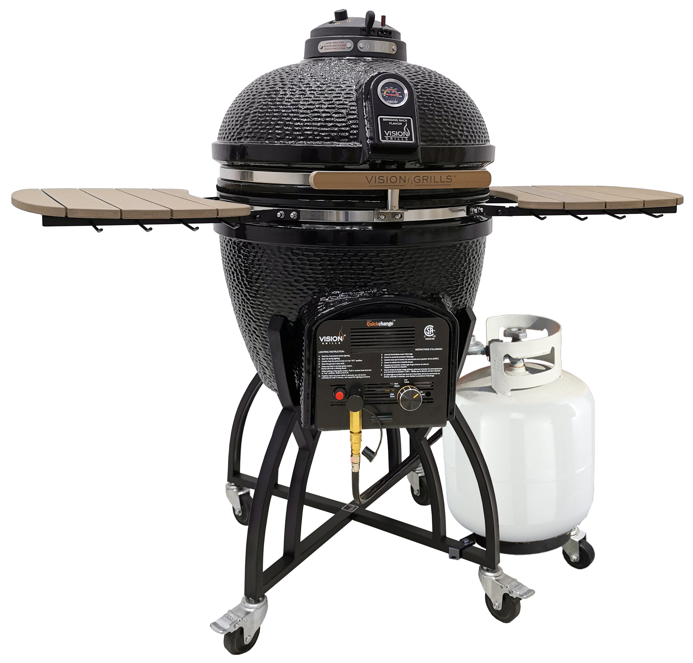 Professional C Series Hybrid Charcoal Gas